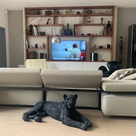 Maison Contemporaine Plein Centre Piscine &jacuzzi Willa *