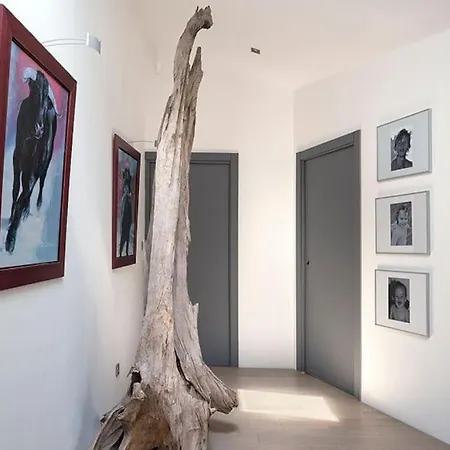 Maison Contemporaine Plein Centre Piscine &jacuzzi