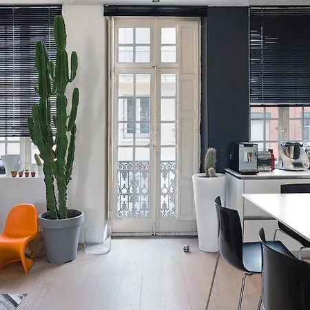 Maison Contemporaine Plein Centre Piscine &jacuzzi Tuluza