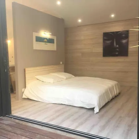 Maison Contemporaine Plein Centre Piscine &jacuzzi Villa Toulouse