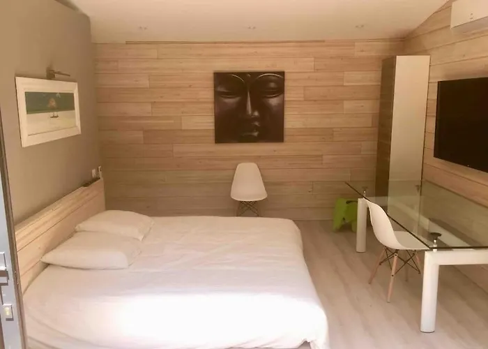 Maison Contemporaine Plein Centre Piscine &jacuzzi