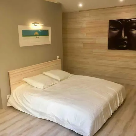 Maison Contemporaine Plein Centre Piscine &jacuzzi Toulouse