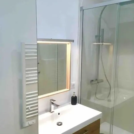 Maison Contemporaine Plein Centre Piscine &jacuzzi