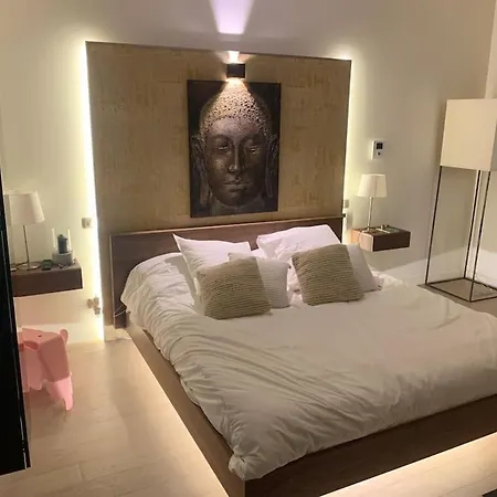 Maison Contemporaine Plein Centre Piscine &jacuzzi Villa *