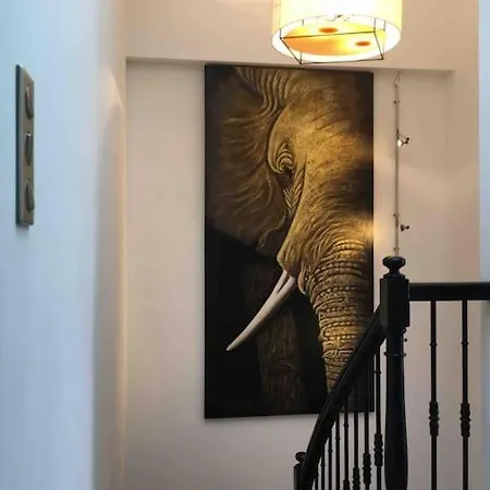 Villa Maison Contemporaine Plein Centre Piscine &jacuzzi