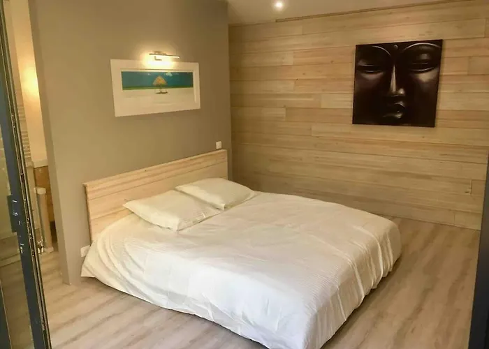 Maison Contemporaine Plein Centre Piscine &jacuzzi Toulouse