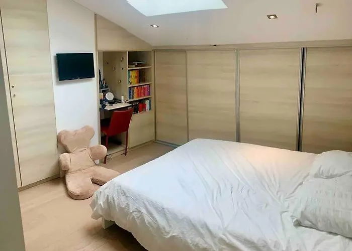 Maison Contemporaine Plein Centre Piscine &jacuzzi Villa