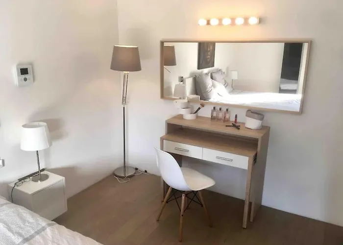 Villa Maison Contemporaine Plein Centre Piscine &jacuzzi *