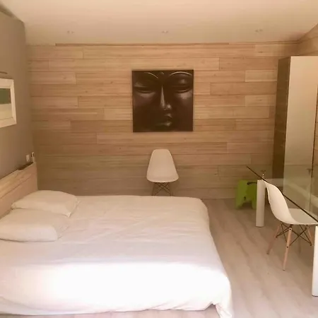 Maison Contemporaine Plein Centre Piscine &jacuzzi