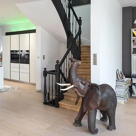 Maison Contemporaine Plein Centre Piscine &jacuzzi