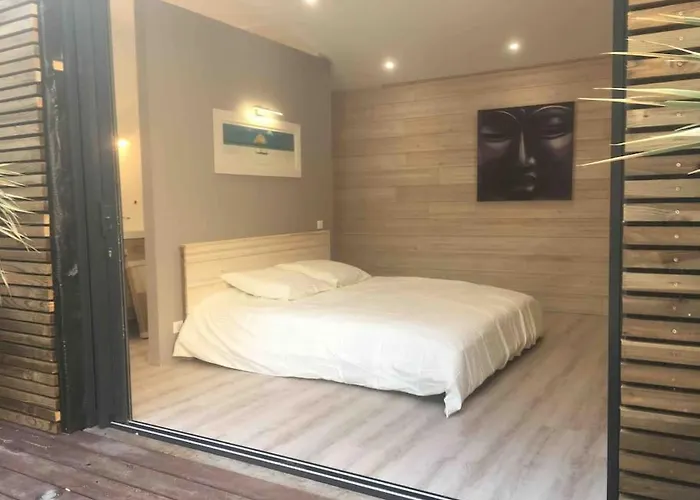 Maison Contemporaine Plein Centre Piscine &jacuzzi Villa Toulouse