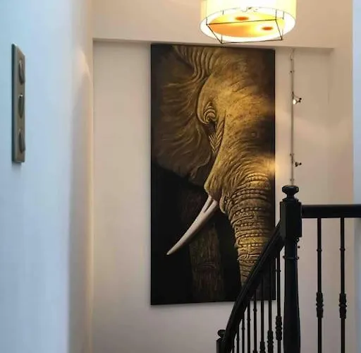 Villa Maison Contemporaine Plein Centre Piscine &jacuzzi