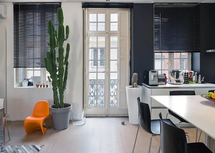 Maison Contemporaine Plein Centre Piscine &jacuzzi Тулуза